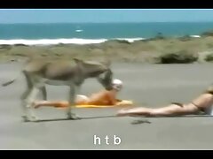 סרט סקס לצפיה חינם משומן עם סראי מינקס המהממת מ-Bang Bros